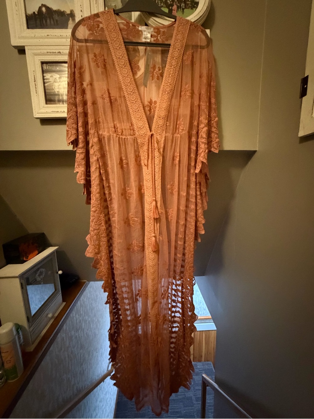 VENUS Rose pink Sheer Embroidered Lace-Trim Long Robe